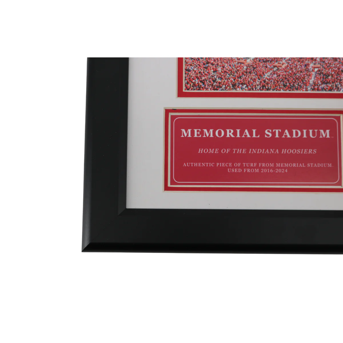 Indiana University Authentic Piece of Memorial Stadium Turf Framed Collage - Image 2