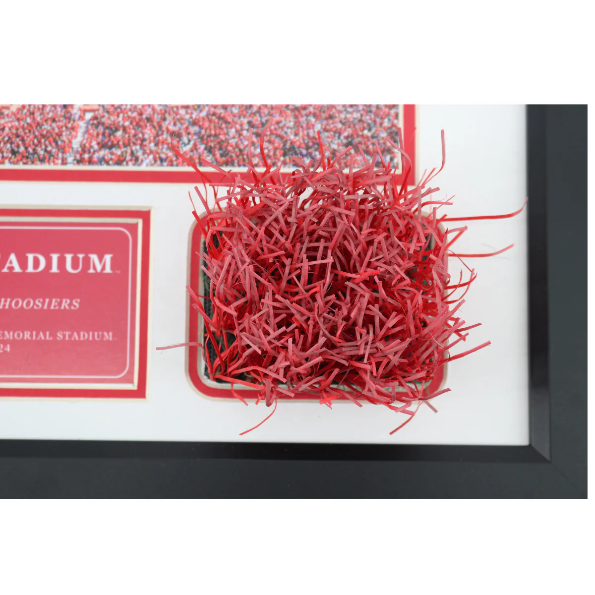 Indiana University Authentic Piece of Memorial Stadium Turf Framed Collage - Image 3