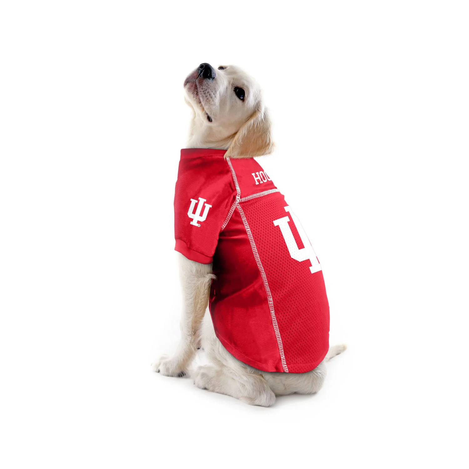 Indiana Hoosiers Pet Jersey - Image 2